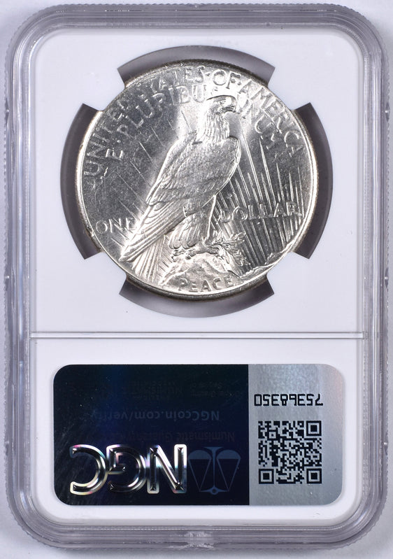Peace Dollar - NGC Brilliant Uncirculated - Bag Fragment